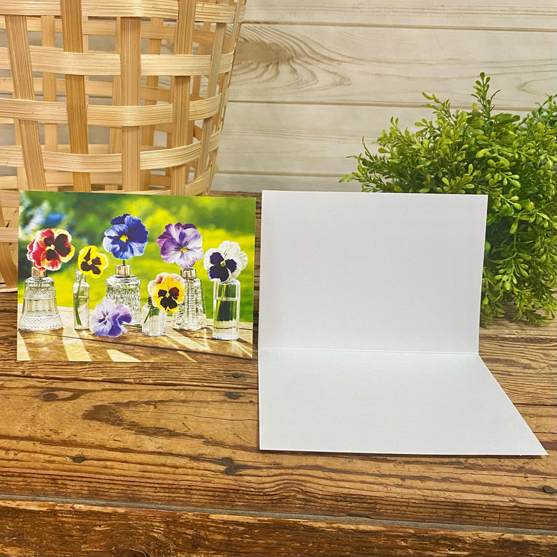 Pansies Blank Card