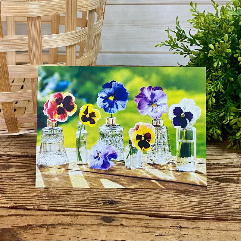 Pansies Blank Card