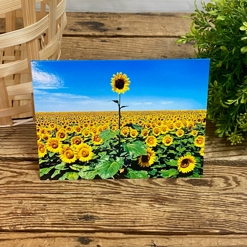 Sunflower Thank You Card
