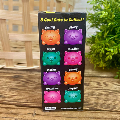 Teenie Nee Doh Cool Cats
