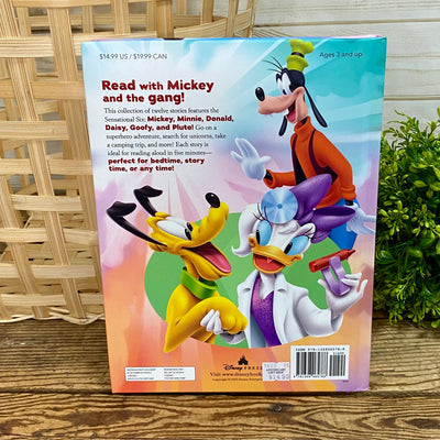 5 Minute Disney Junior Stories Book