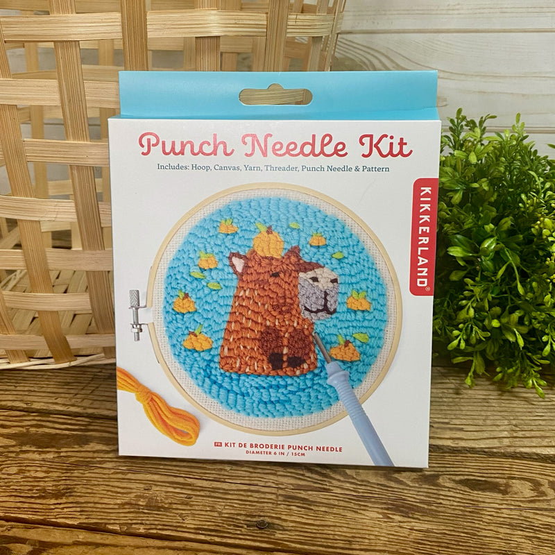 Punch Needle Kits