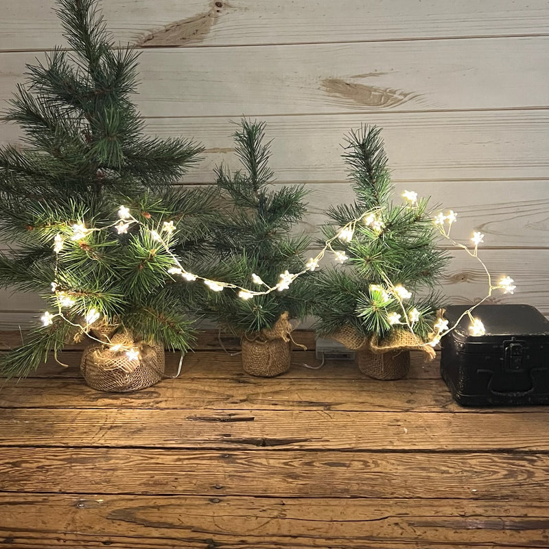 LED Holiday String Lights