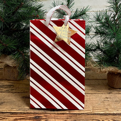 Christmas Contemporary Gift Bag