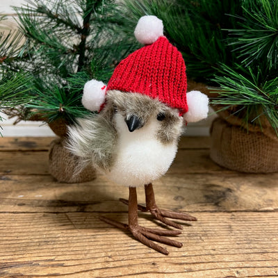 Bird with Feather & Red Hat