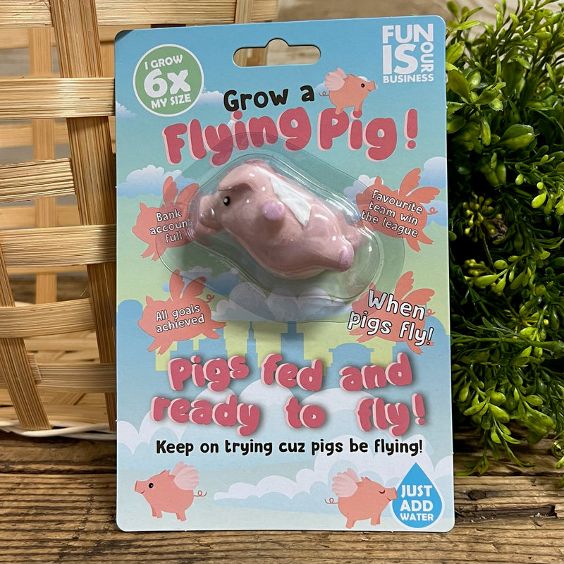 Grow a Flying Pig