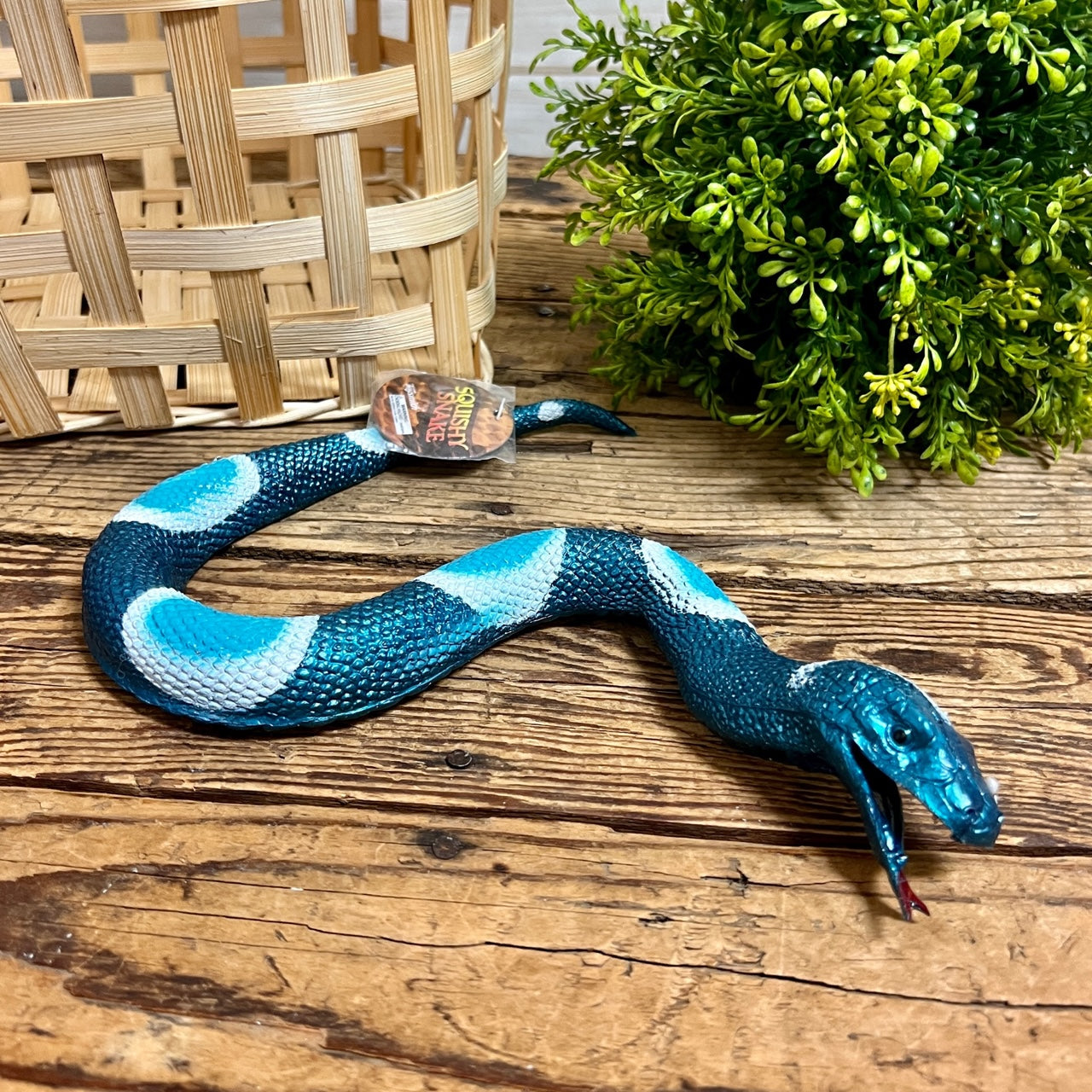 Squishy Snake – Apothecary Gift Shop