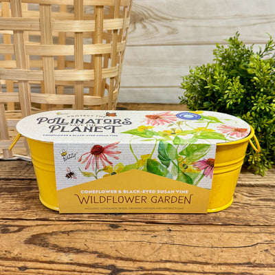 Windowsill Garden Kits