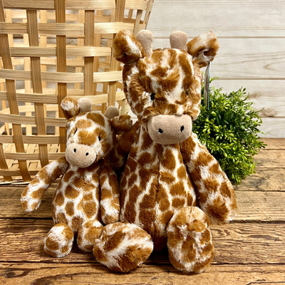 Bashful Giraffe Jellycat - Apothecary Gift Shop