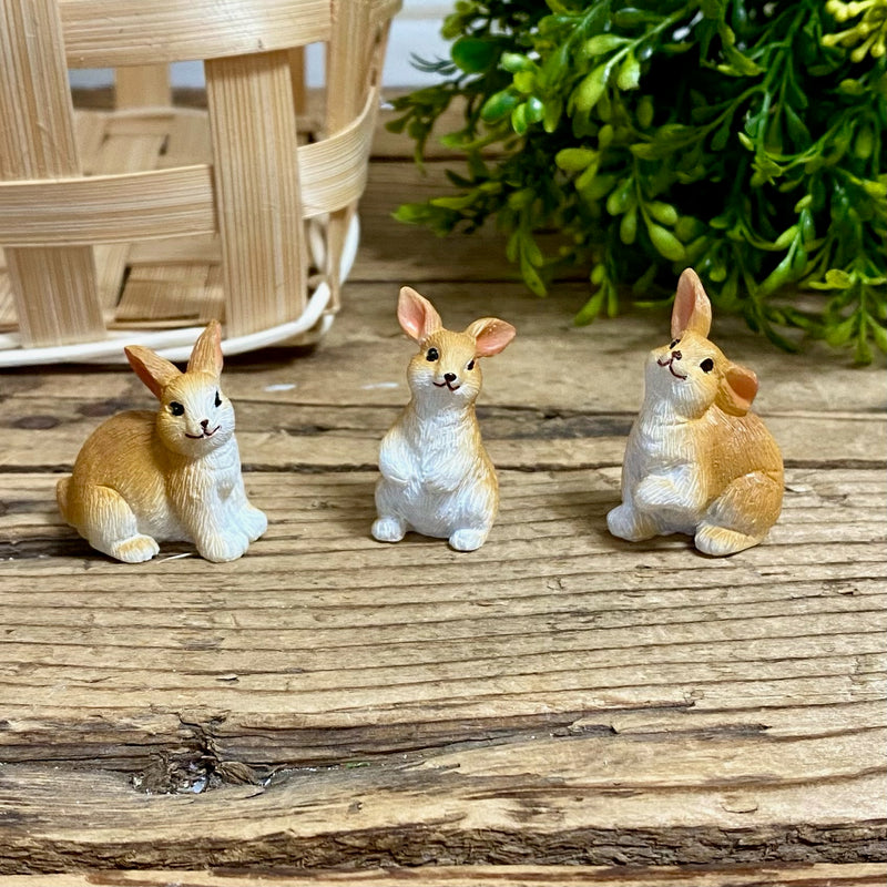 Mini Bunnies