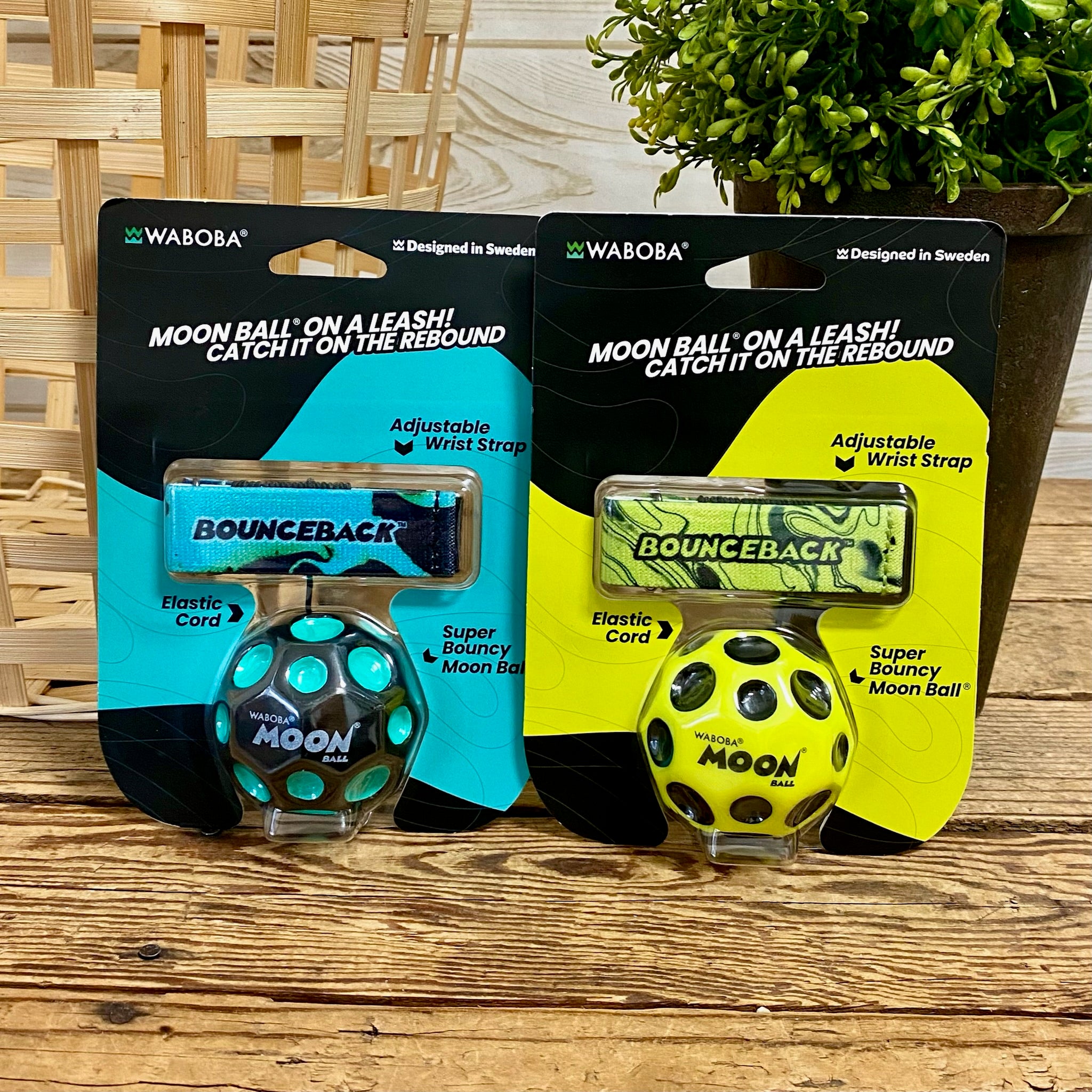 IMG_9839.jpg?v=1738780318