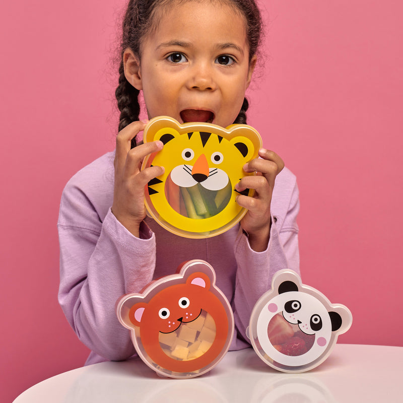 Animal Snack Boxes Set