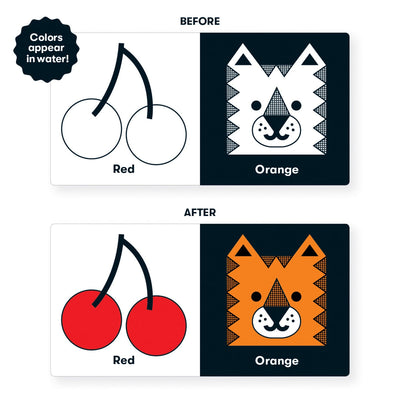 What Color Am I Bath Book