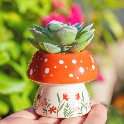 Shaped Succulent Pots