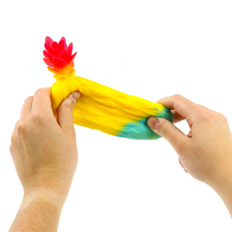 Rainbow Stretchy Fruit Toys