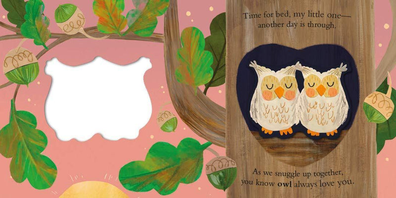 Owl Always Love You Book