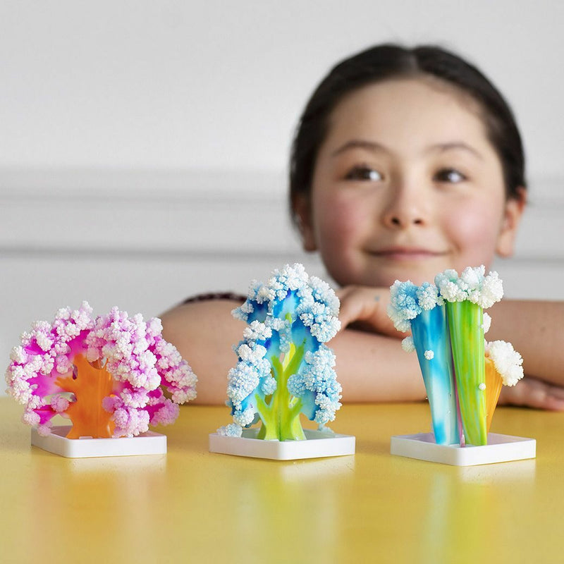 Coral Reef Activity Kit