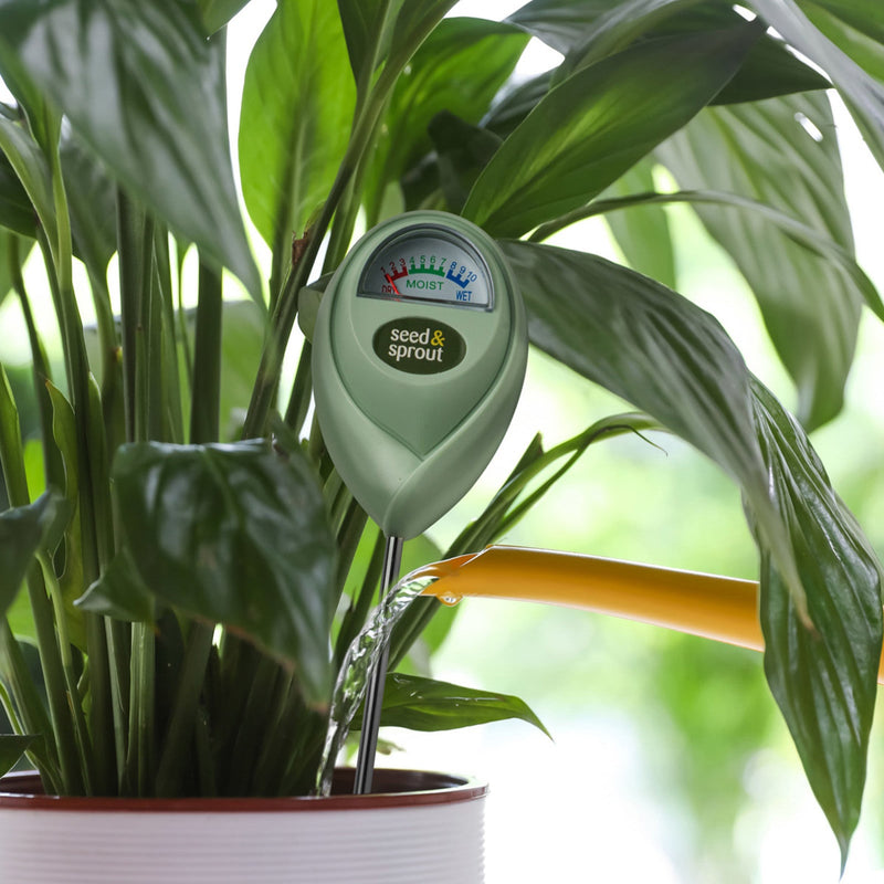 Plant Moister Meter