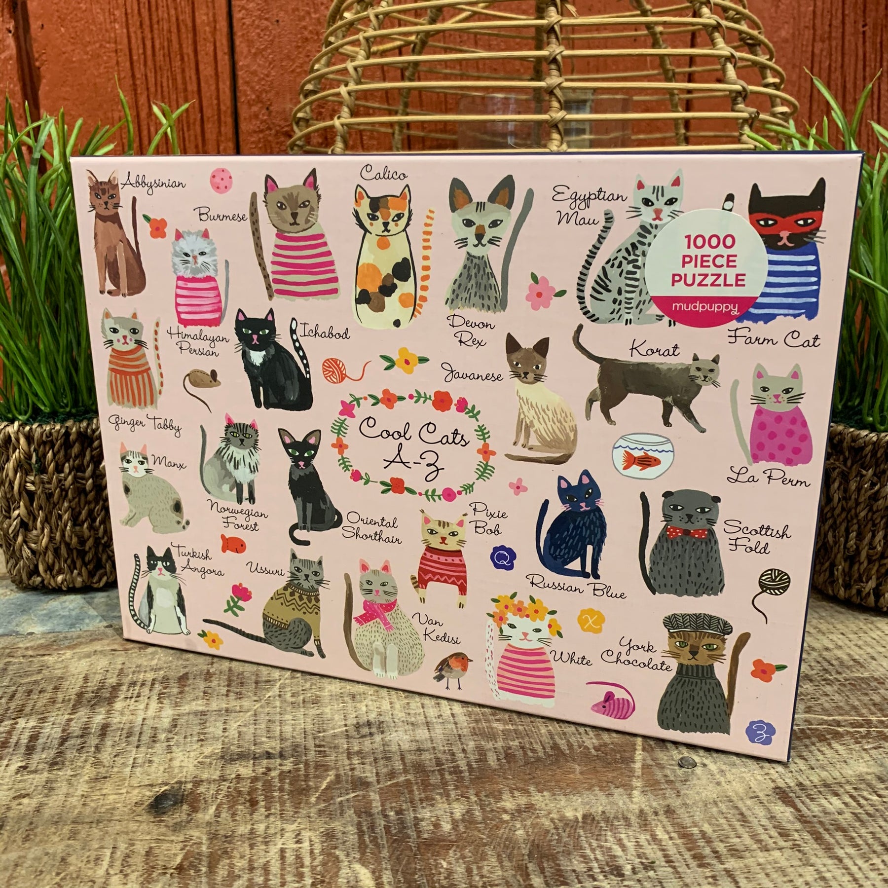 Cool cats puzzle Clearance