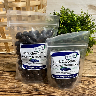 Dark Chocolate Covered Michigan Blueberries - Apothecary Gift Shop
