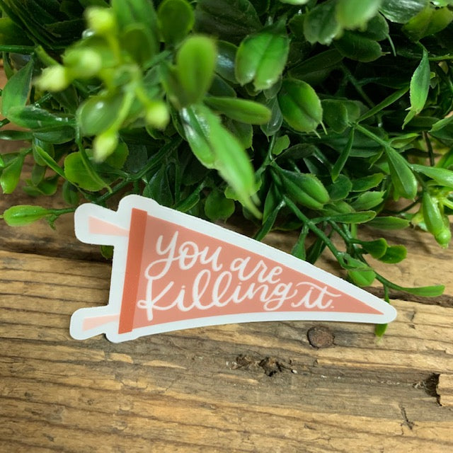 You Are Killing It Flag Sticker