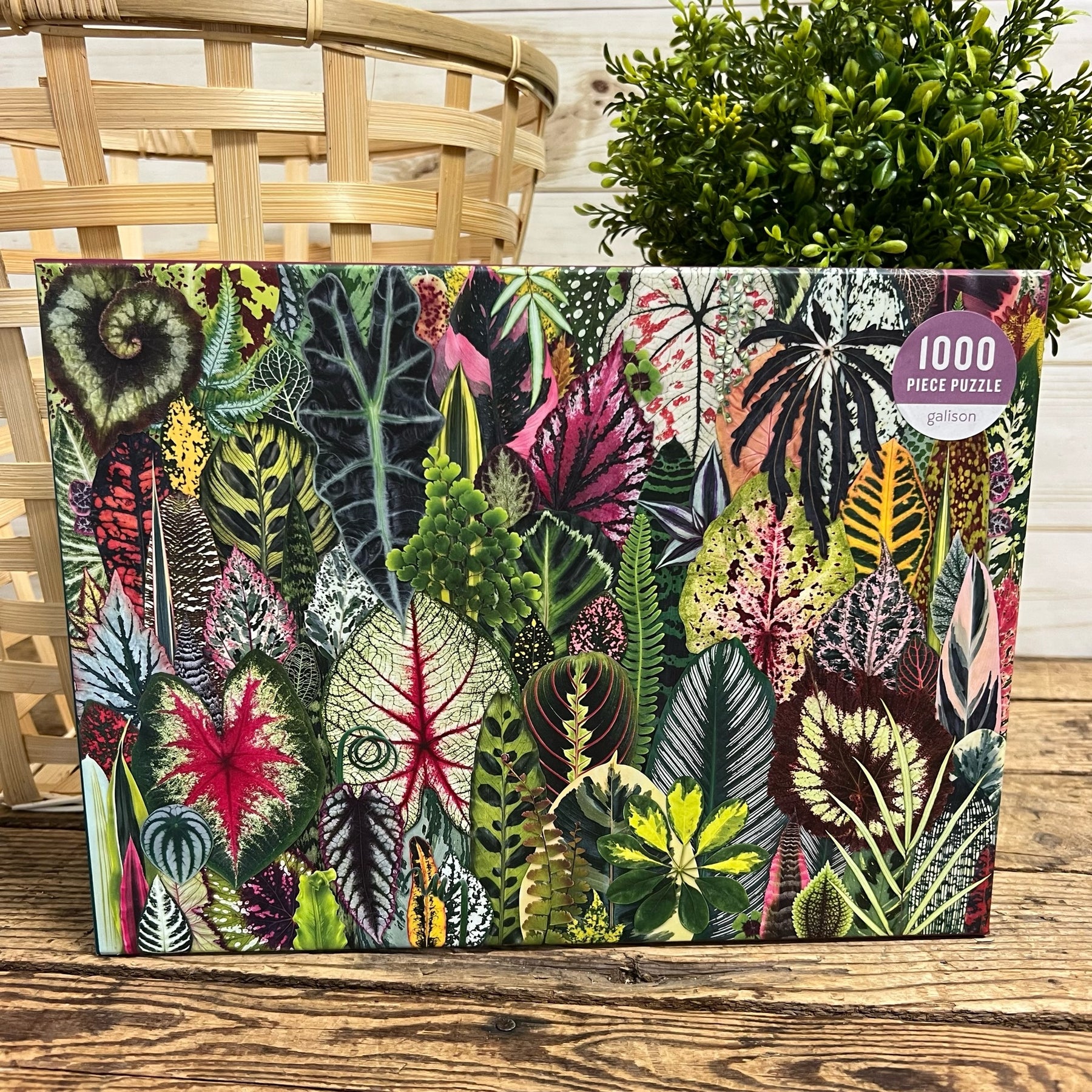 Houseplant puzzle deals