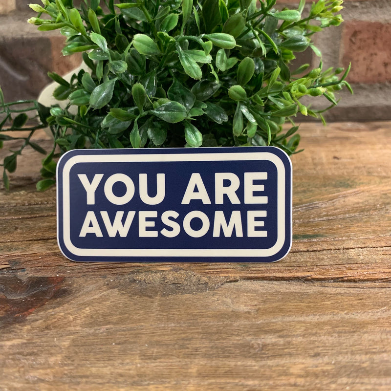 You Are Awesome Sticker