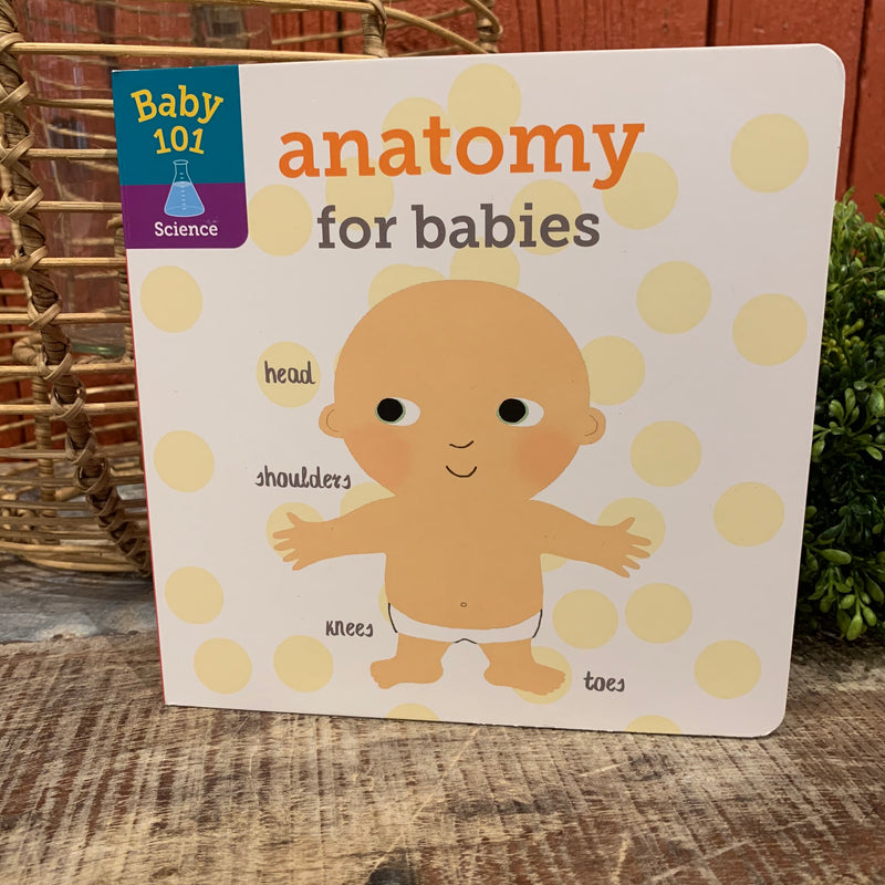 Anatomy For Babies Book - Apothecary Gift Shop