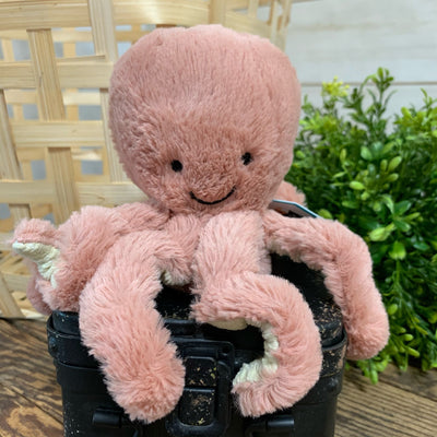 Odell Octopus Jellycat Stuffed Animal - Apothecary Gift Shop