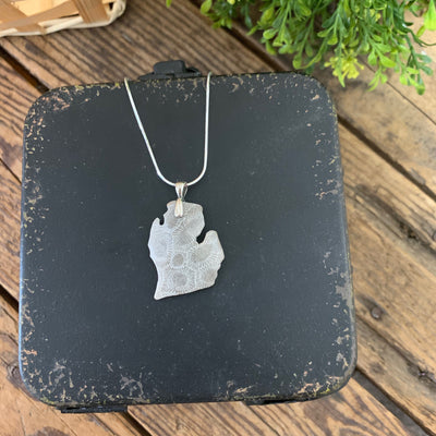 Small Pickled Petoskey Stone Michigan Pendant - Apothecary Gift Shop