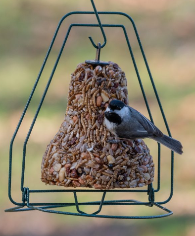 Mr. Bird Seed Bell Hanger