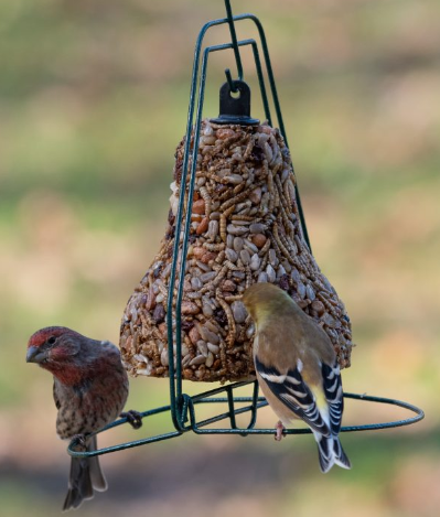 Mr. Bird Seed Bell Hanger