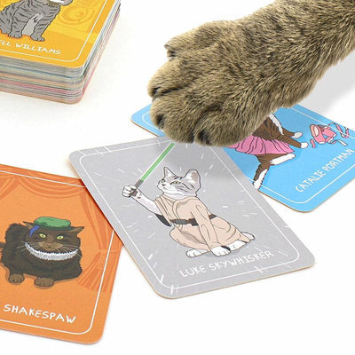 Kitty Cataclysm: chaos, cardplay, dickery and cat puns by Behrooz 'Bez'  Shahriari — Kickstarter